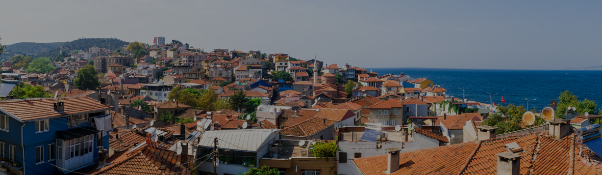 Bursa